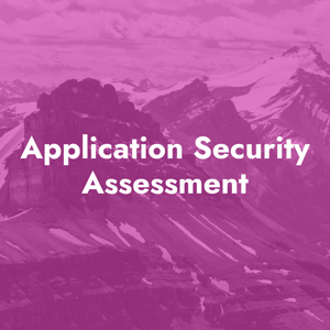 Application Security Assessment-1