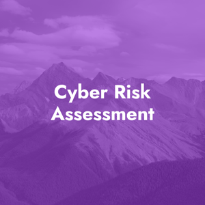 Cyber Risk Assessment