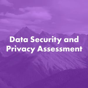 Data-Security-Privacy-Assessment