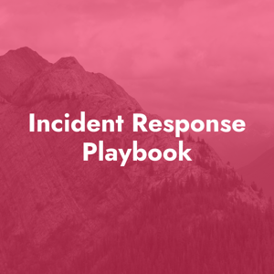Incident Response Playbook - Under Attack?