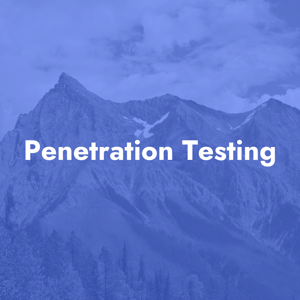 Penetration Testing