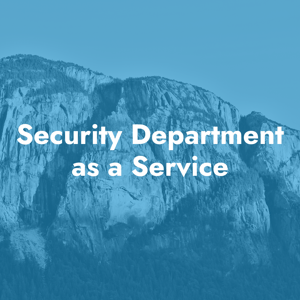 Security Department as a Service