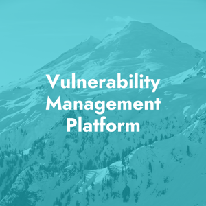 Vulnerability Management Platform