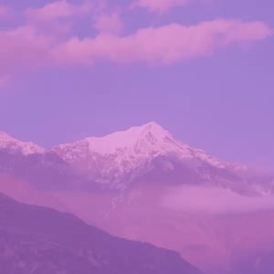 fuchsia-mountains-600x600