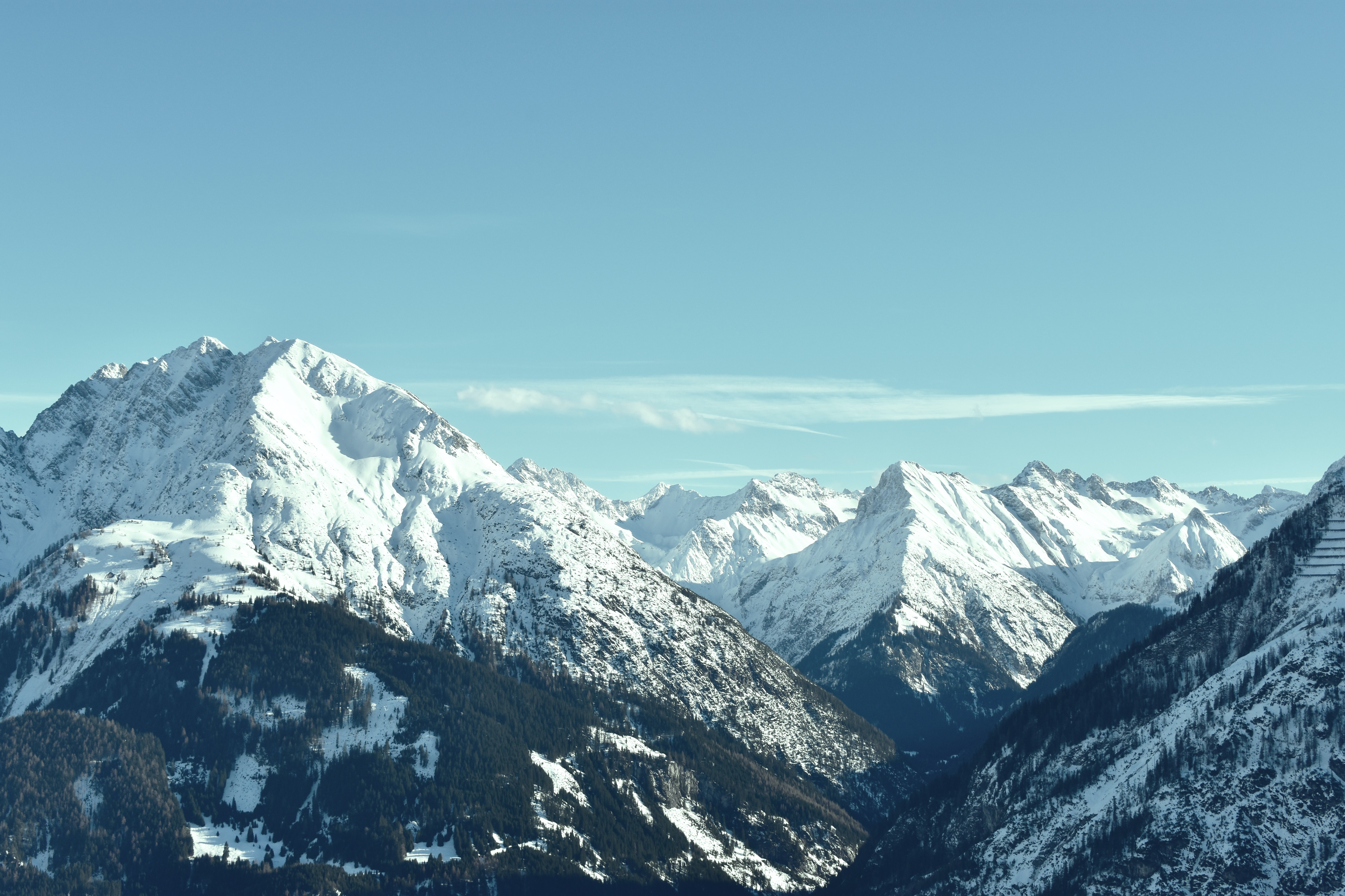 sven-mieke-qZF9kF51ODc-unsplash